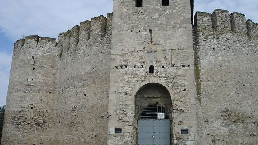 Cetatea Soroca văzută din față