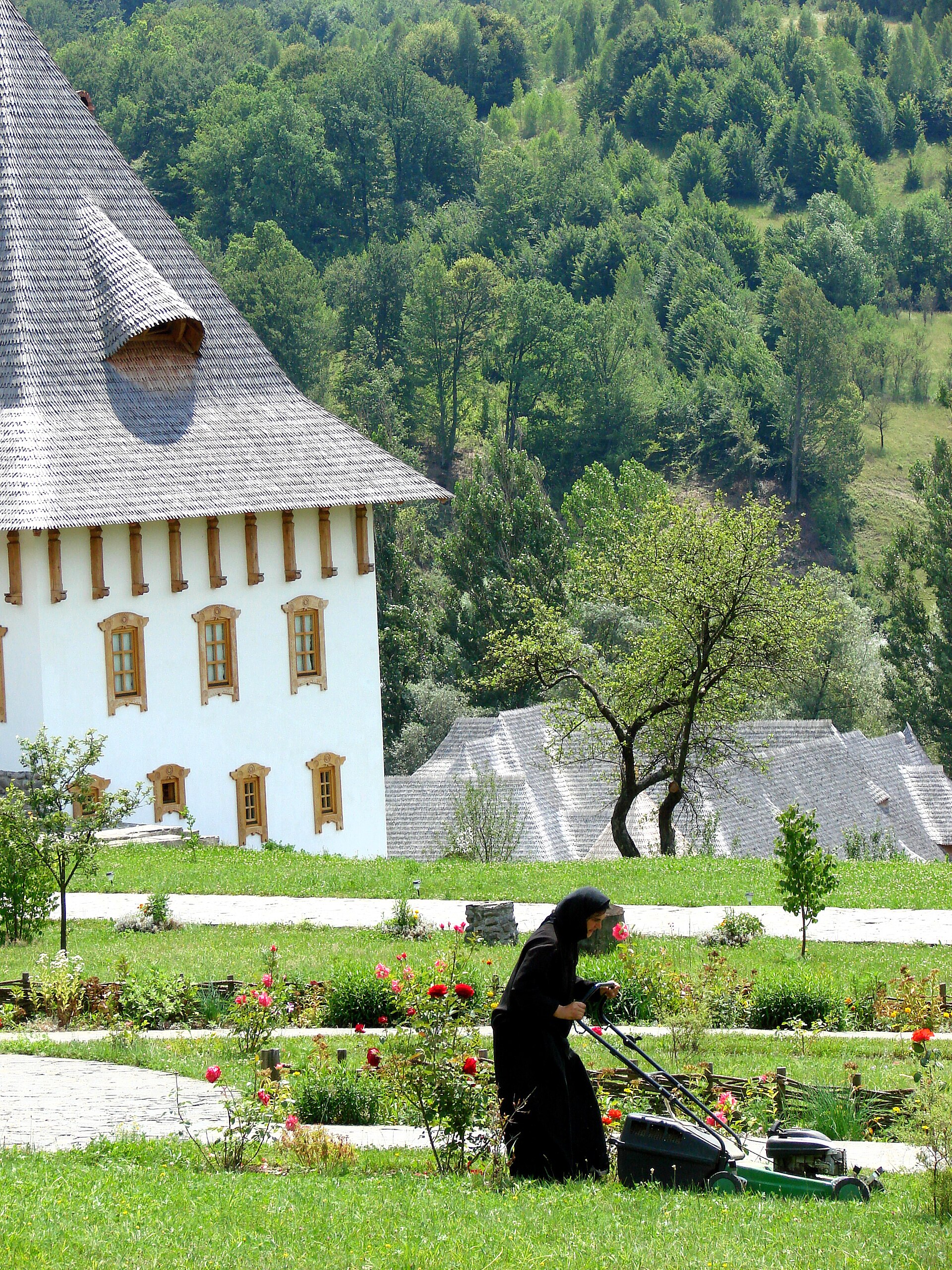 Arhitectura din lemn de la Bârsana