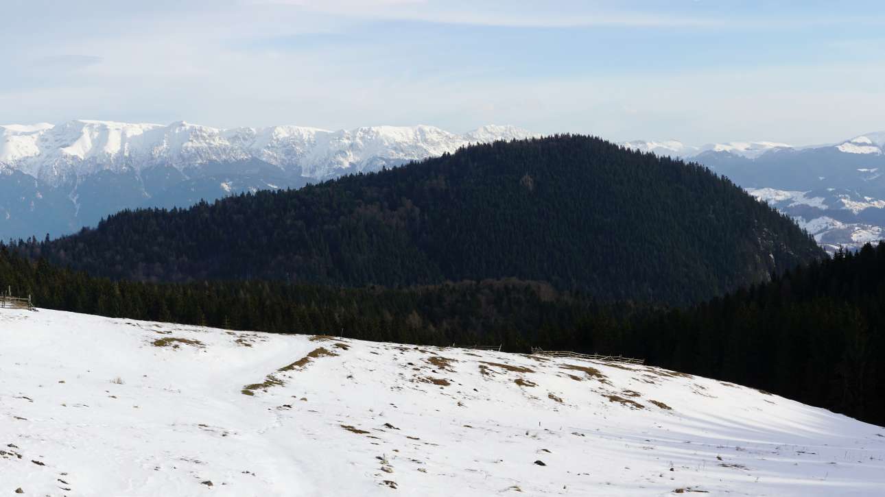 Munții Leaota