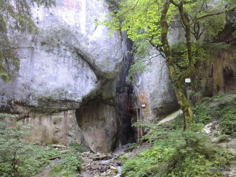 Canionul Șapte Scări din Piatra Mare