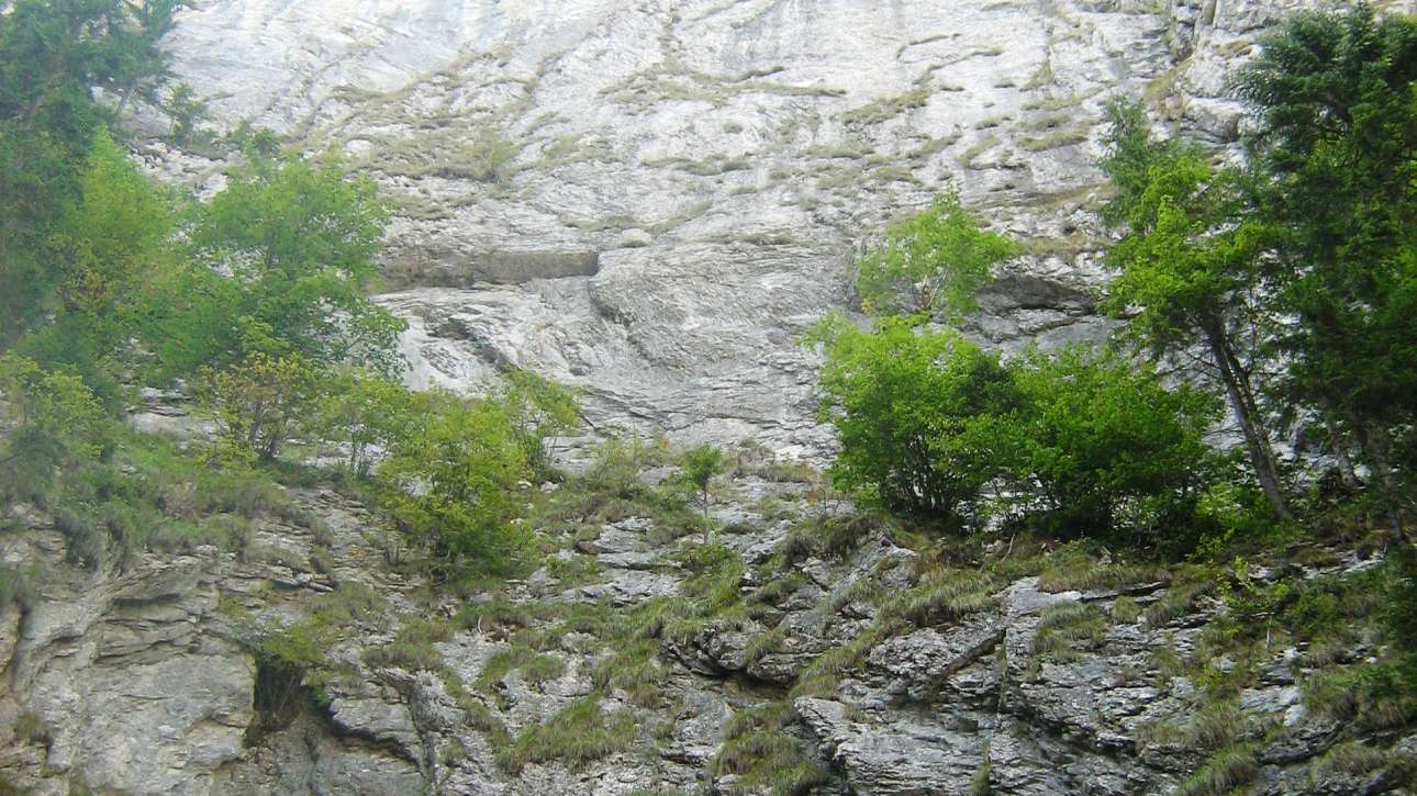 Cetățile Ponorului în Munții Bihor