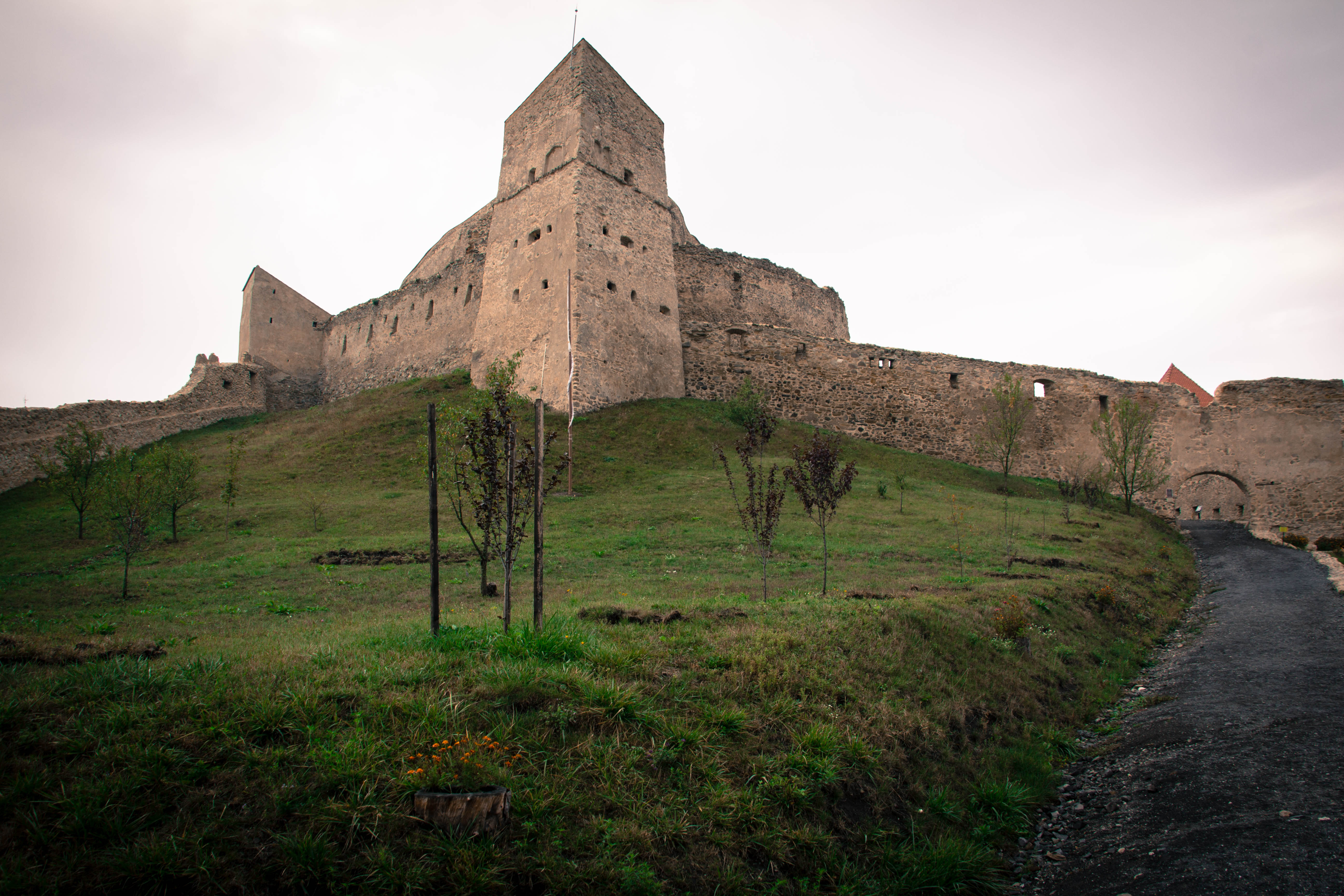 Panoramă din Cetatea Rupea