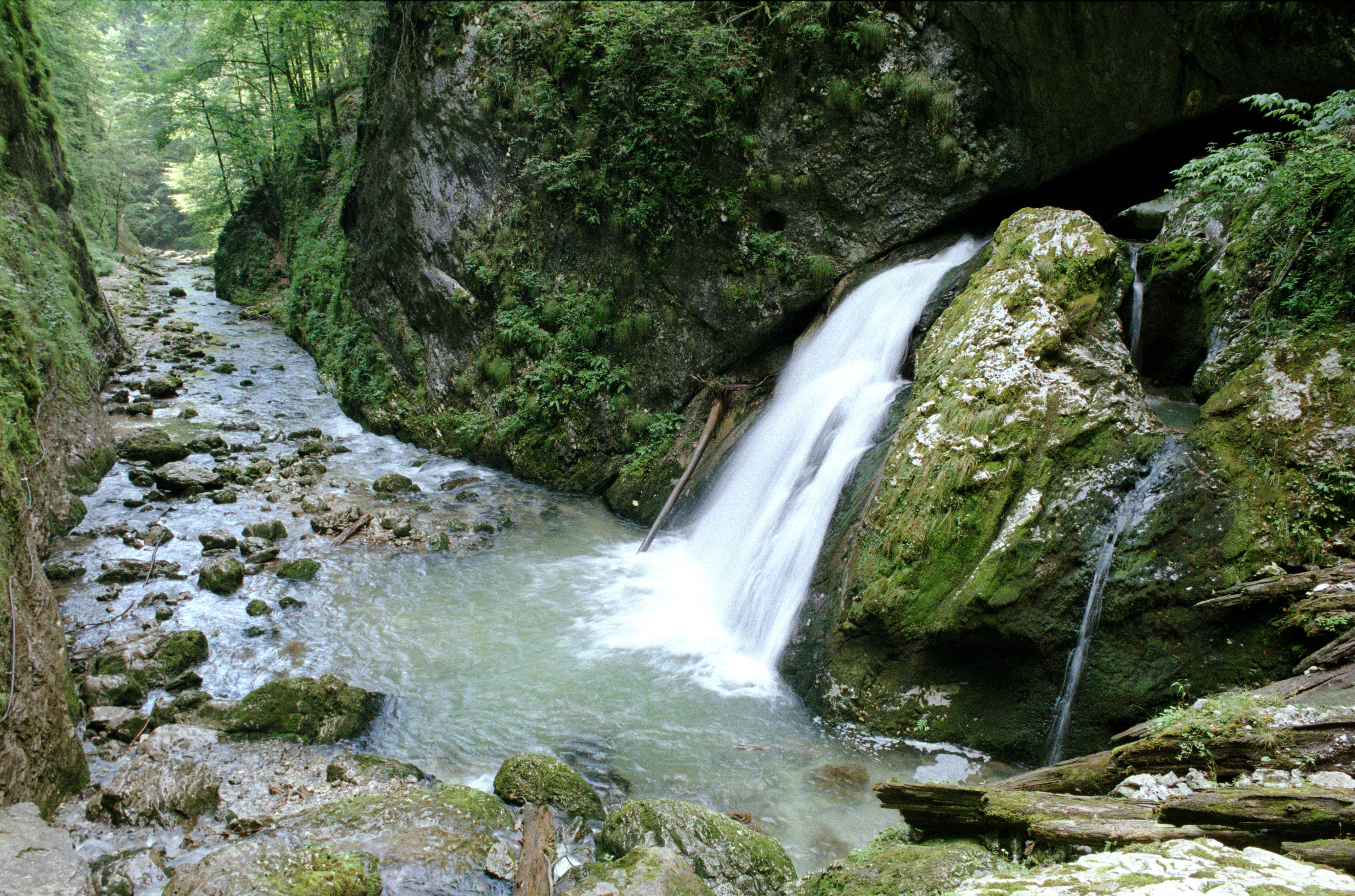 Cheile Galbenei din Parcul Natural Apuseni