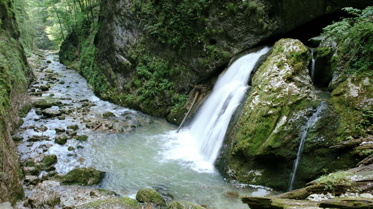 Cheile Galbenei în Apuseni