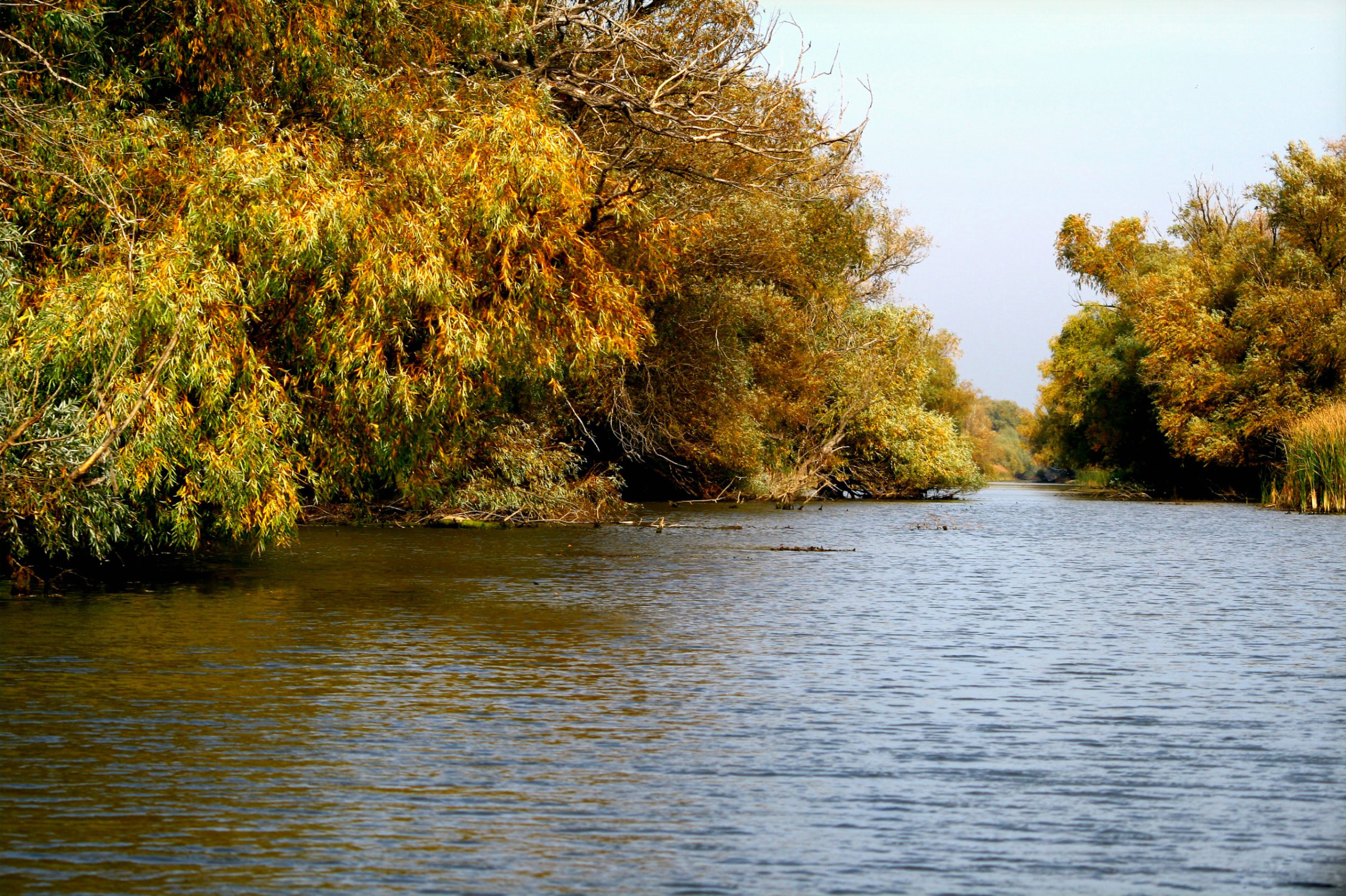 Canal din Delta Dunării în culori de toamnă