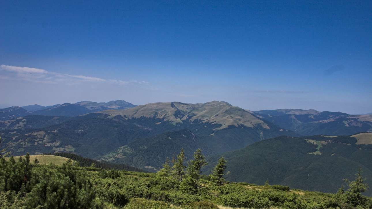 Masivul Farcău din Munții Maramureșului