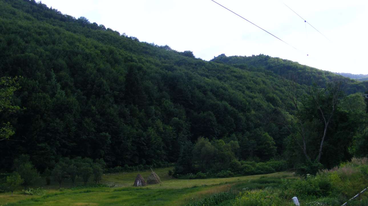 Munții Gurghiu