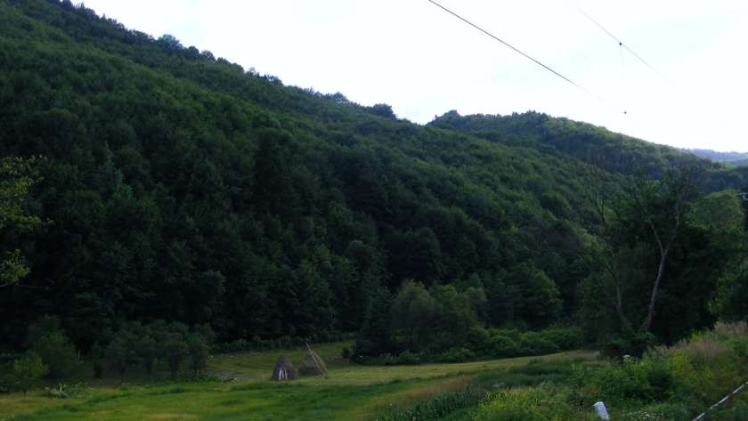 Munții Gurghiu