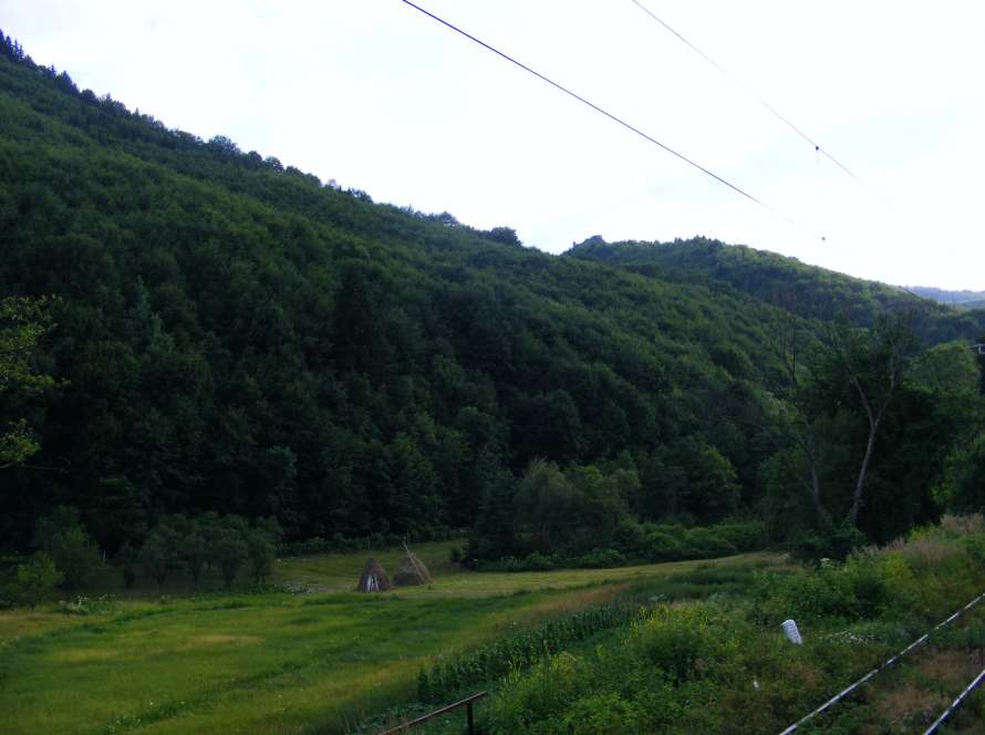 Munții Gurghiu