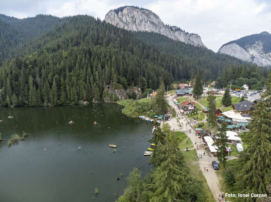 Lacul Roșu și pădurile din jur