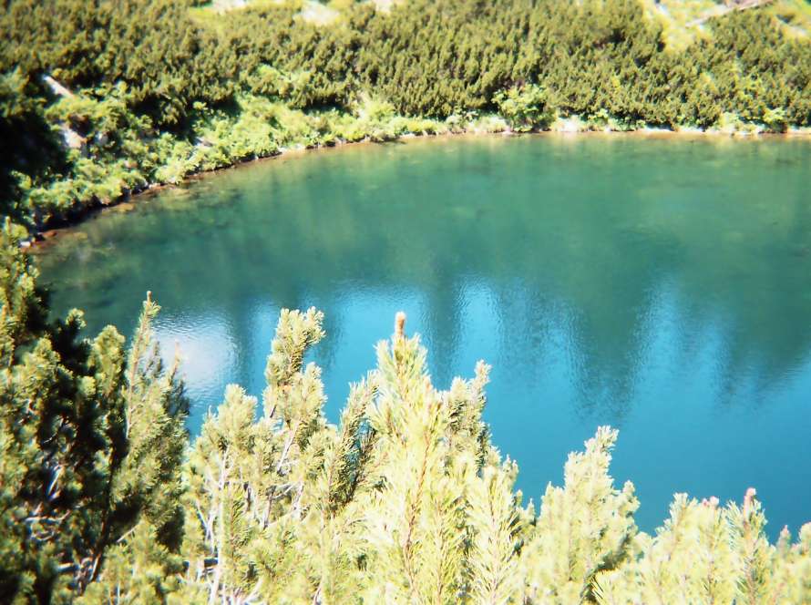 Lacul Șureanu