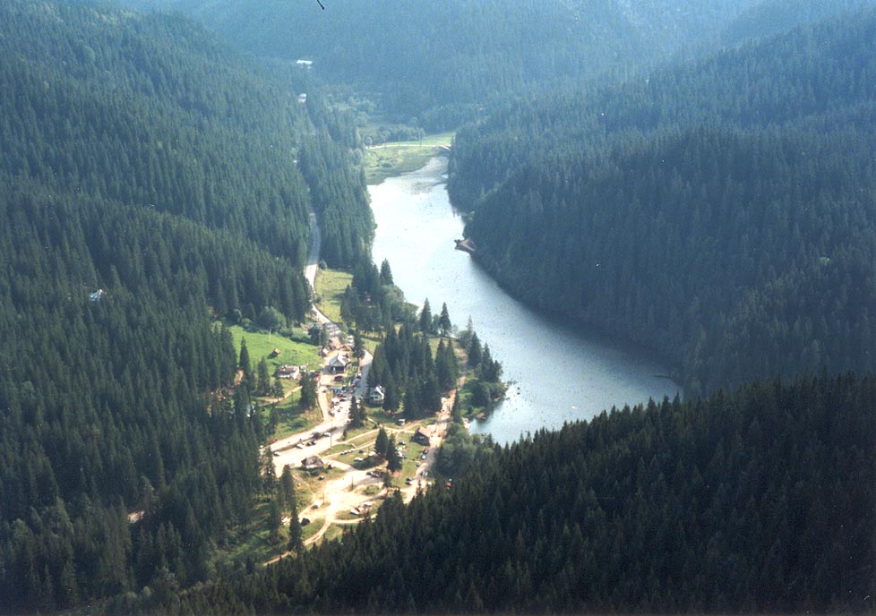 trunchiuri de copaci în Lacul Roșu