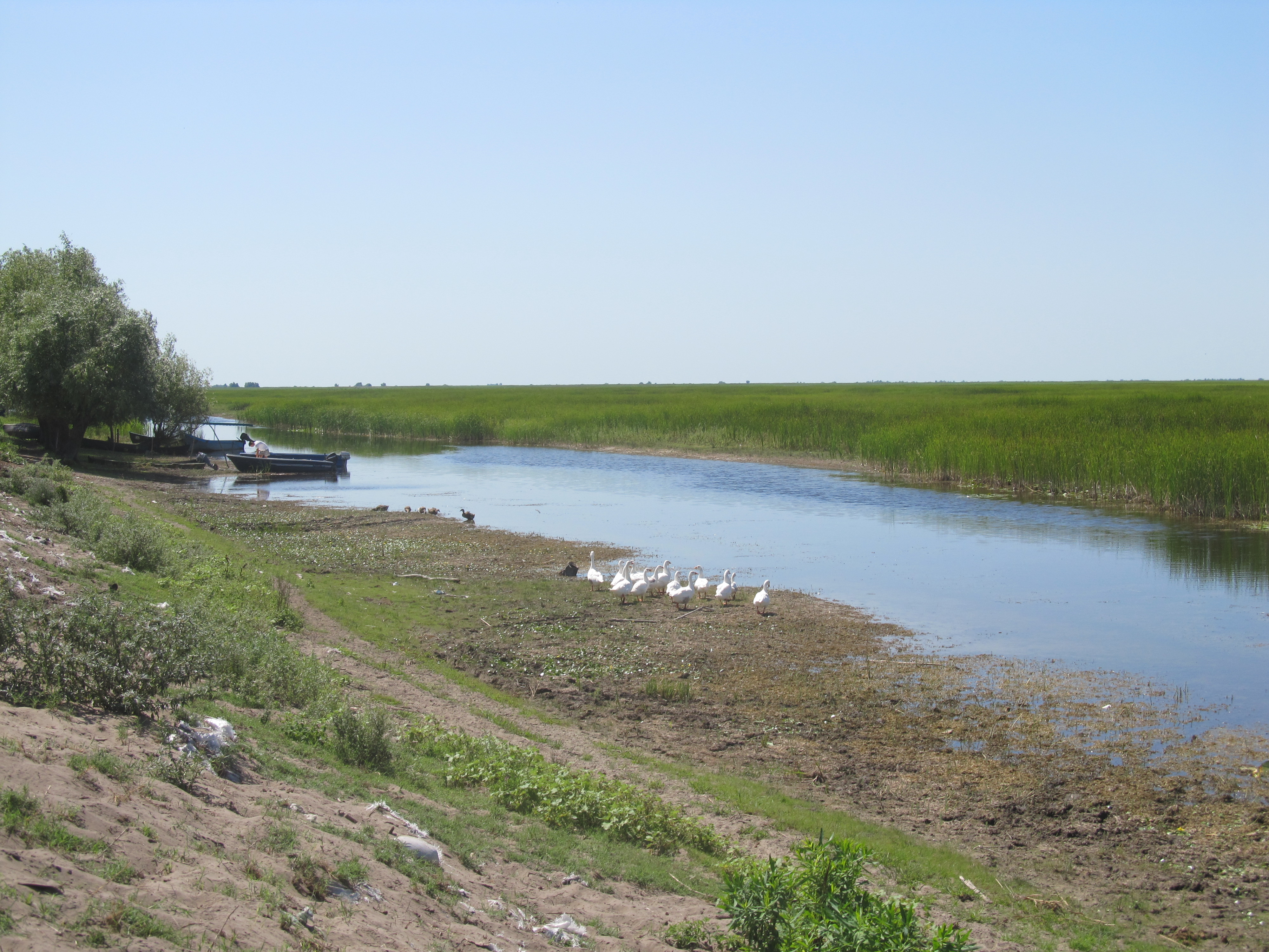 Imagine din satul Letea în Delta Dunării