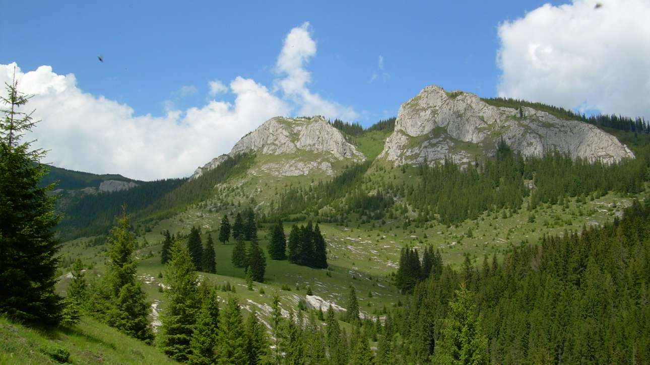 Pietrele Albe din Munții Vlădeasa