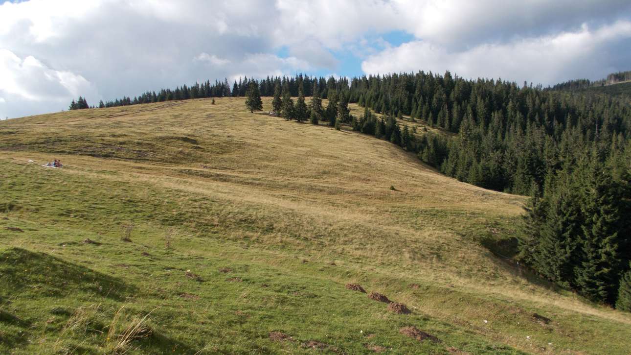 Platoul Padiș din Munții Apuseni