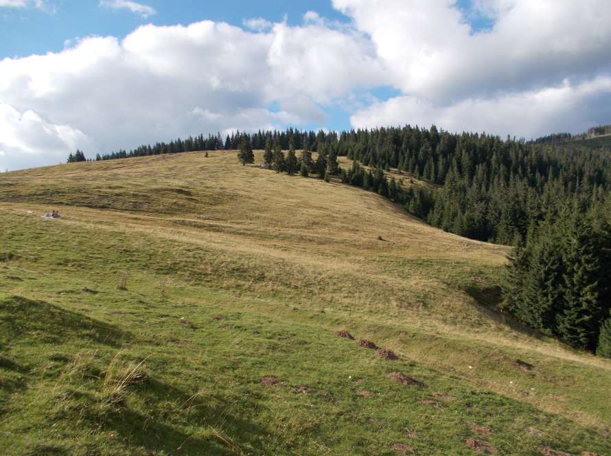 Platoul Padiș din Munții Apuseni