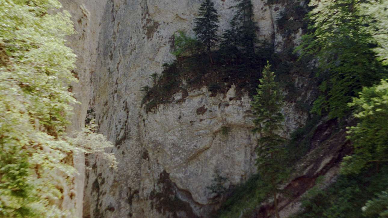 Prapastiile Zarnestilor