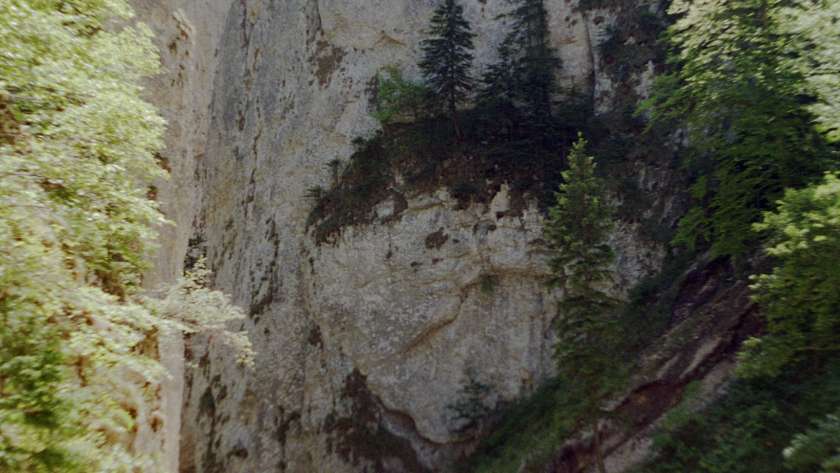 Prapastiile Zarnestilor
