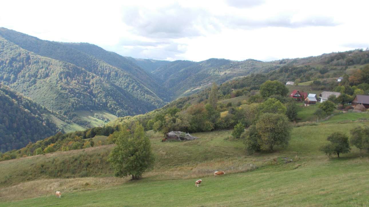 Munții Apuseni – zona Gilău Vlădeasa