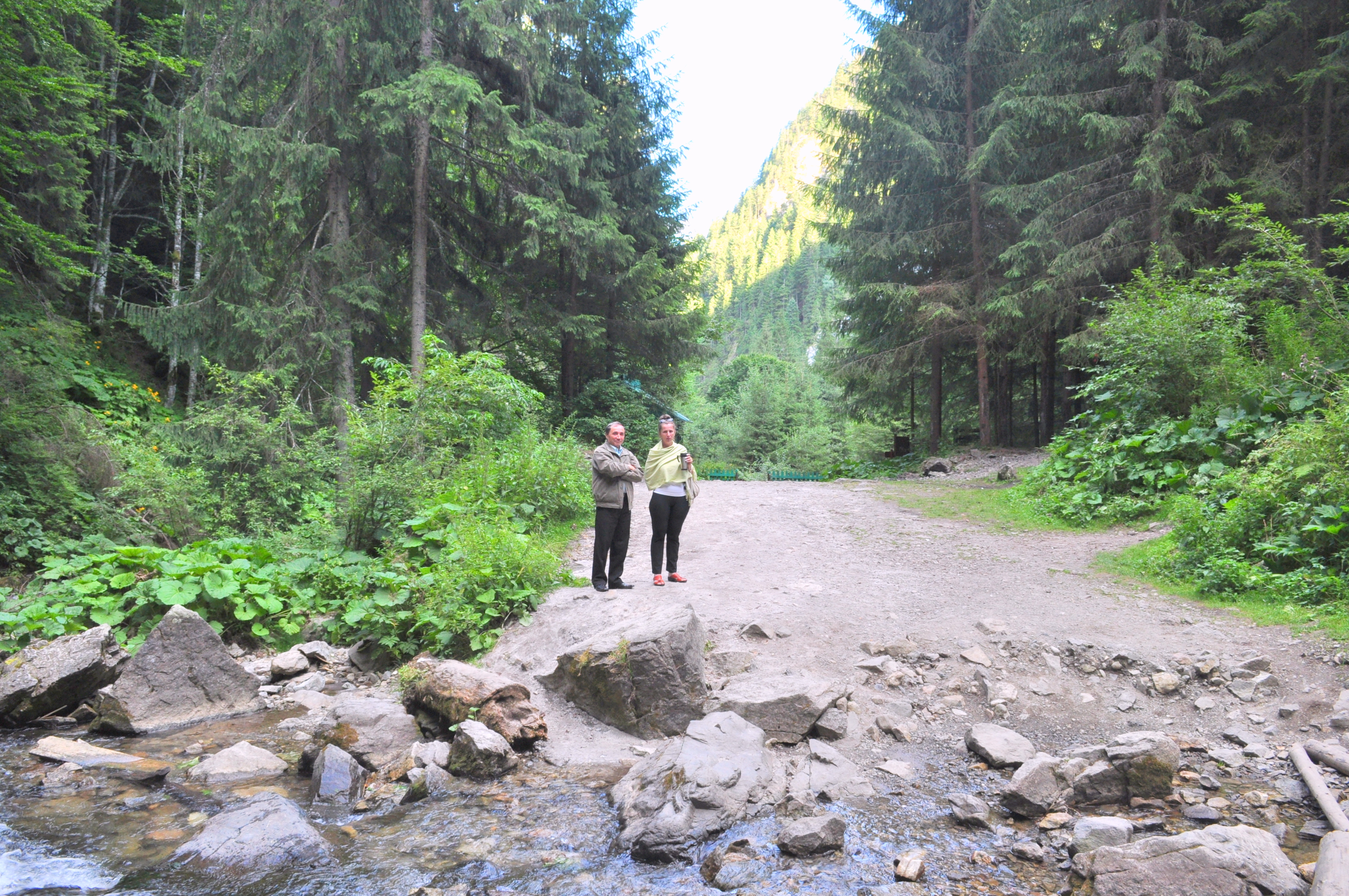 Cascada Vălul Miresei de la Răchițele