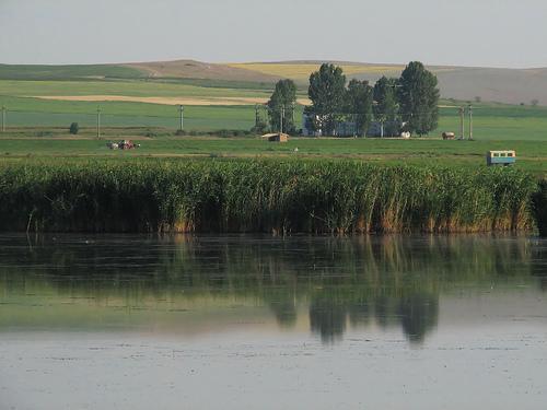 Lacul Razim văzut din zona Jurilovca