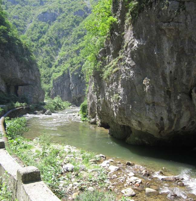 Munții Vâlcan