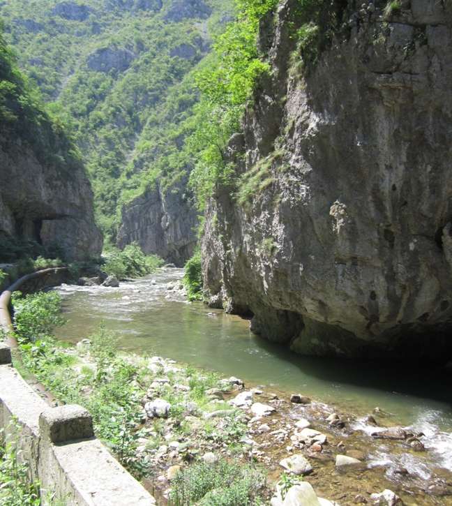 Munții Vâlcan