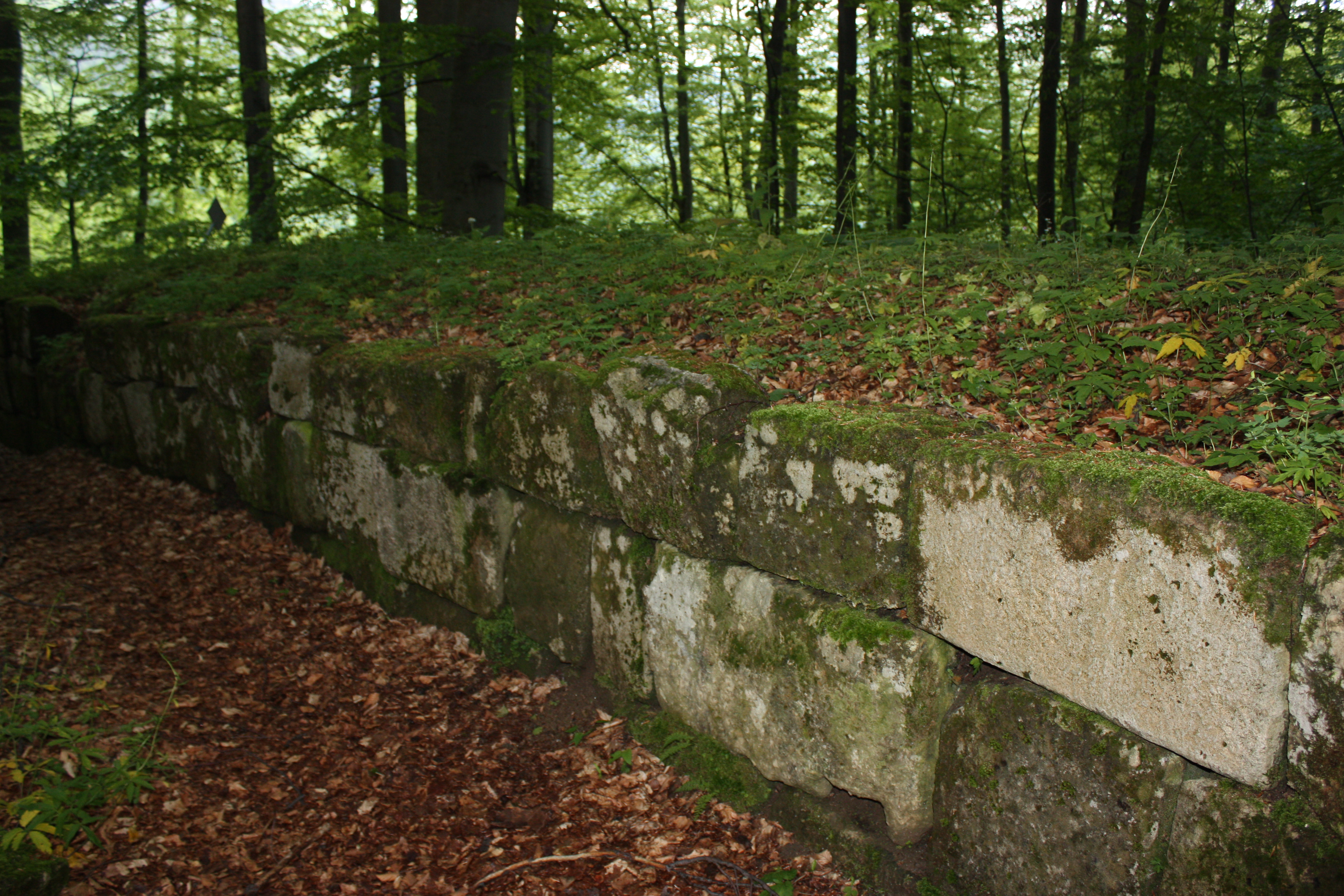 zid dacic murus dacicus Sarmizegetusa Regia