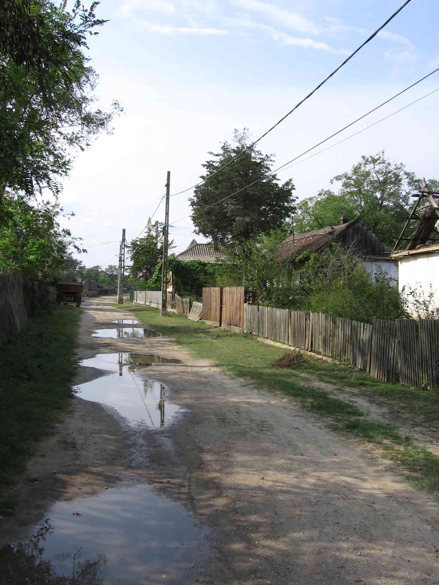 Stradă tradițională în satul Sfântu Gheorghe din Delta Dunării