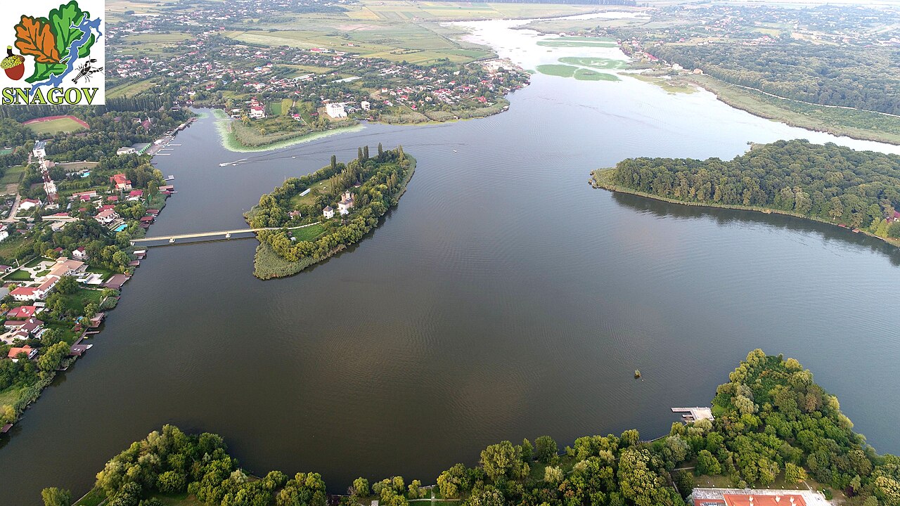 Lacul Snagov și vegetația din aria naturală protejată