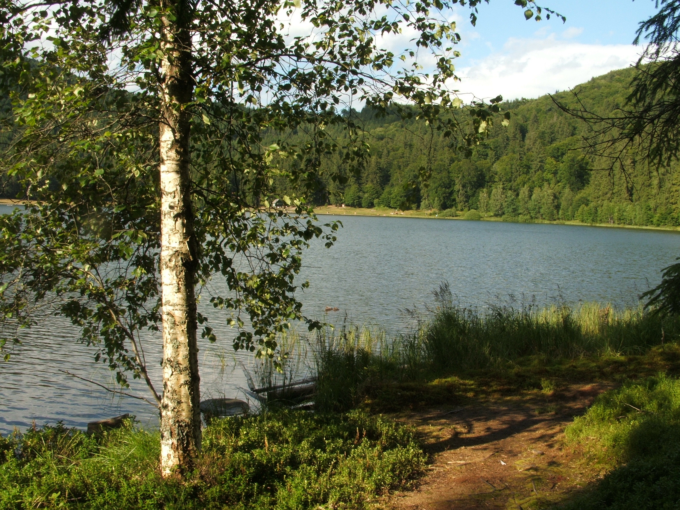 Lacul Sfânta Ana