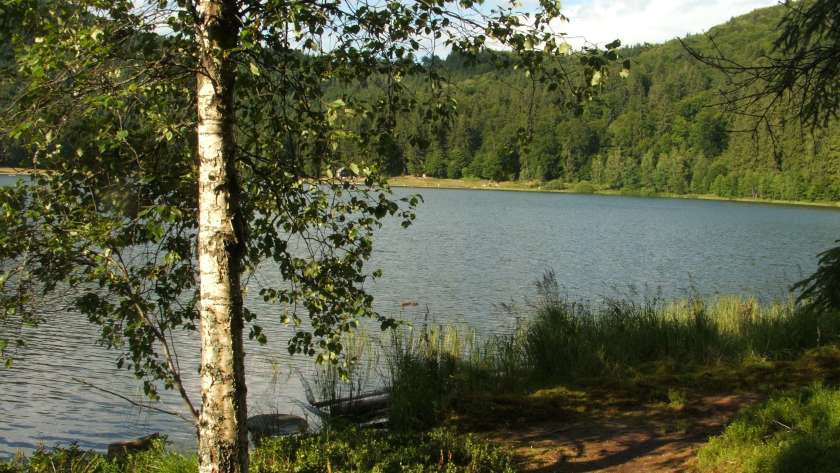 Lacul Sfânta Ana vedere panoramică