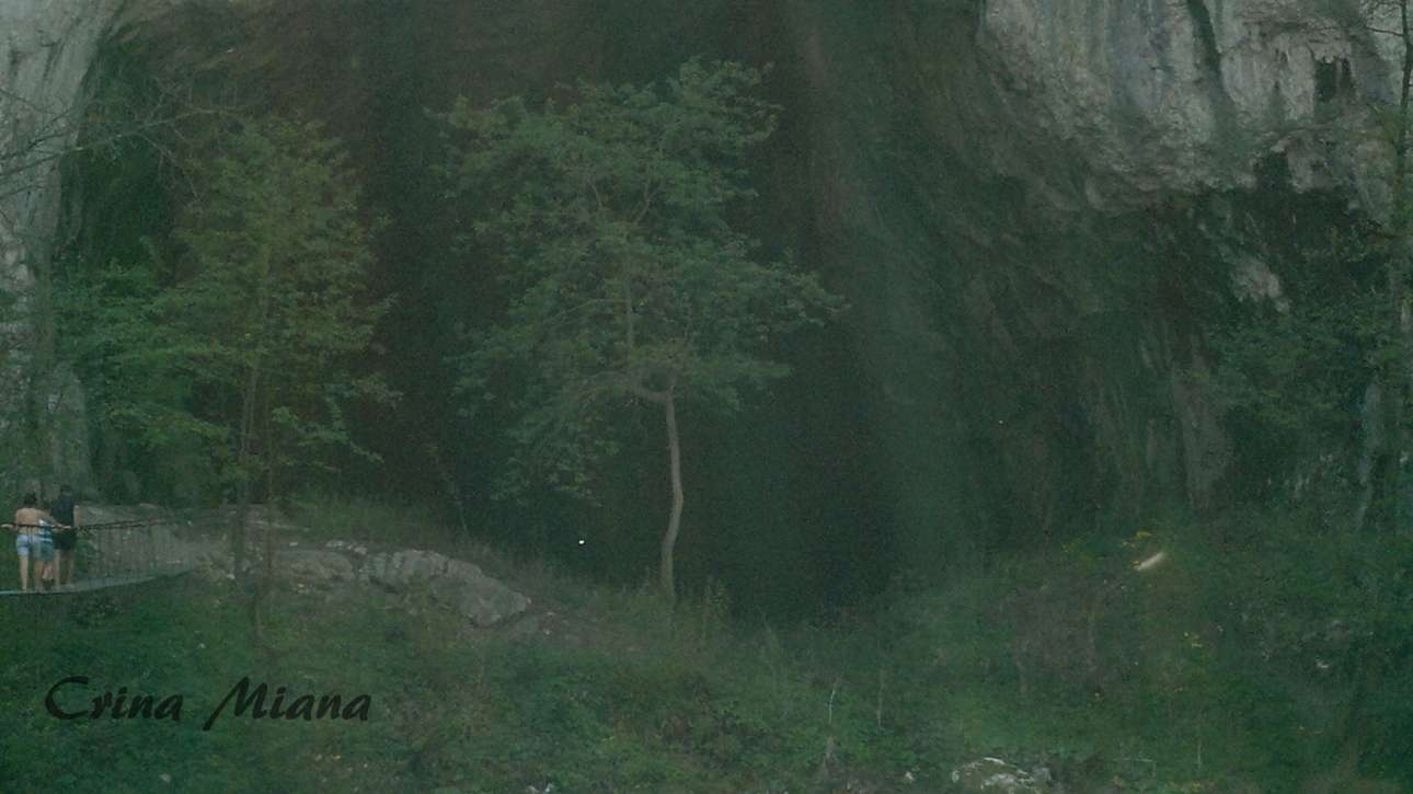Defileul Crișului Repede în Pădurea Craiului