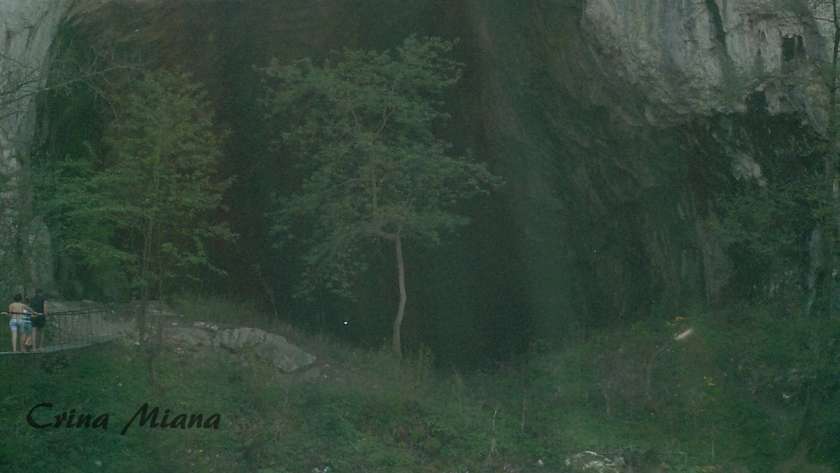 Defileul Crișului Repede în Pădurea Craiului