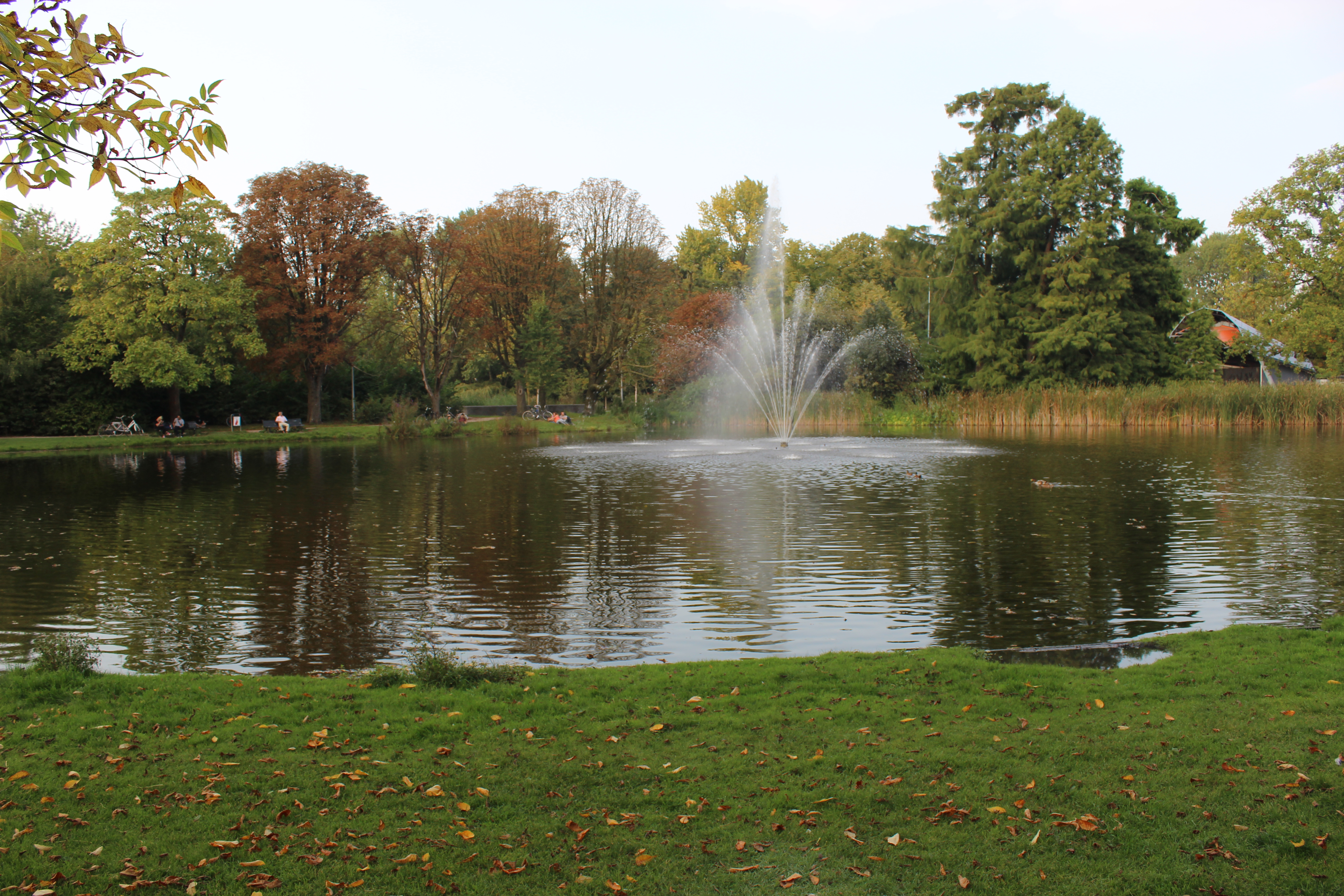 Lac și fântână în Vondelpark din Amsterdam